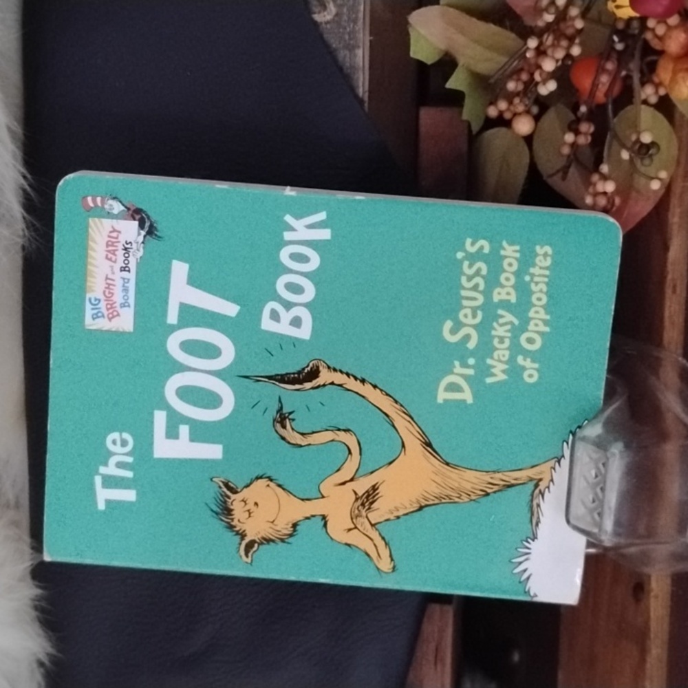 The Foot Book by Dr. Seuss